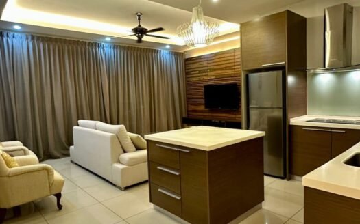 Birch Regency Times Square Condo For Rent RM2.5K /Georgetown