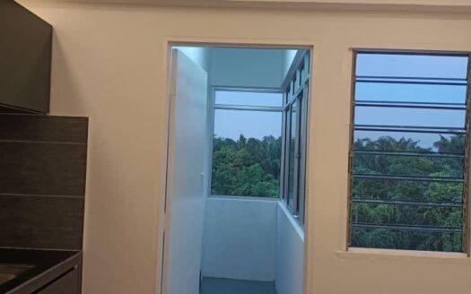 Fully Renovated Flat Tmn Tasek Rethina For Sale RM110K /Tasek Gelugor
