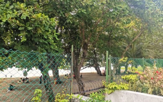 VIlla Ria Condo (Corner)  @ Tanjung Bungah For Sale RM760K